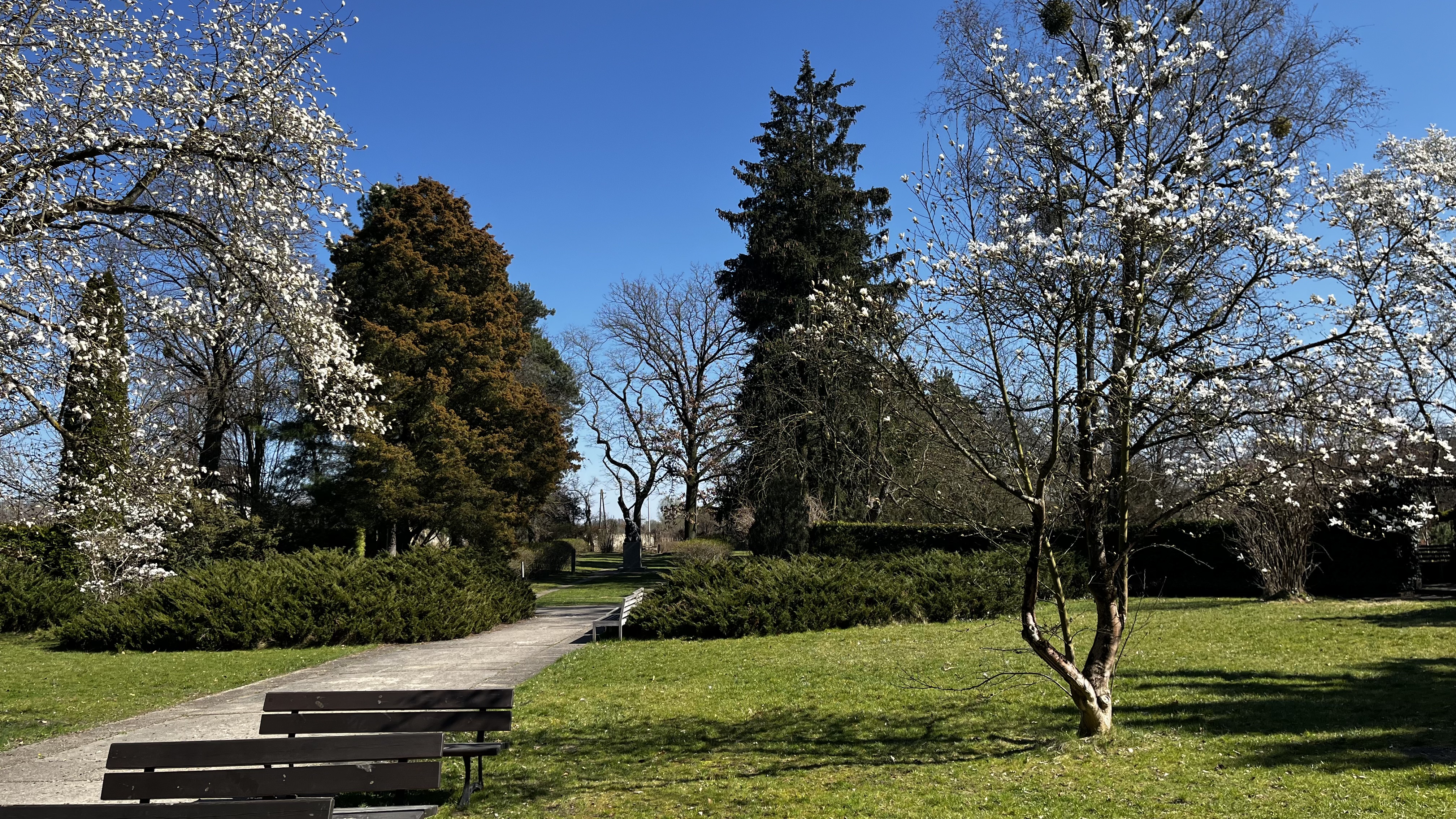 小屋旁的小公園